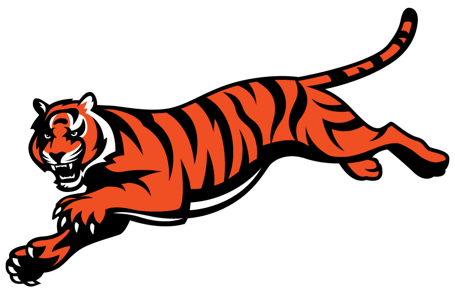 Cincinnati Bengals 1997-Pres Alternate Logo iron on transfers for fabric
